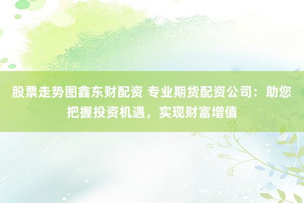 股票走势图鑫东财配资 专业期货配资公司：助您把握投资机遇，实现财富增值