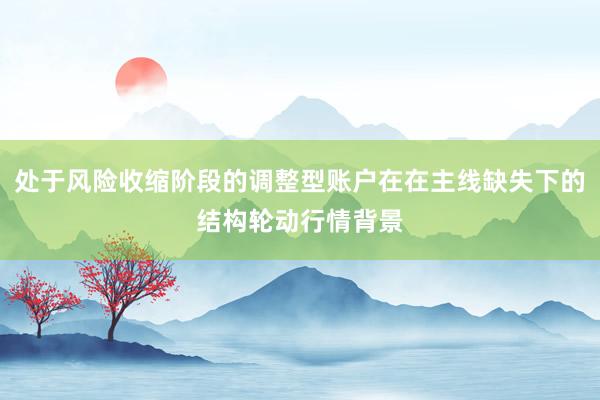 处于风险收缩阶段的调整型账户在在主线缺失下的结构轮动行情背景