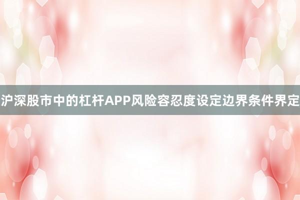 沪深股市中的杠杆APP风险容忍度设定边界条件界定