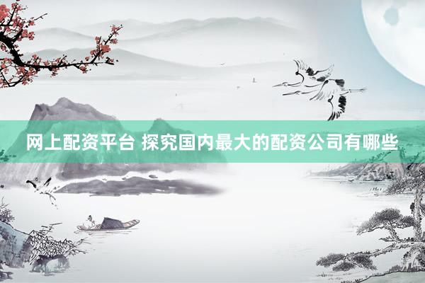 网上配资平台 探究国内最大的配资公司有哪些